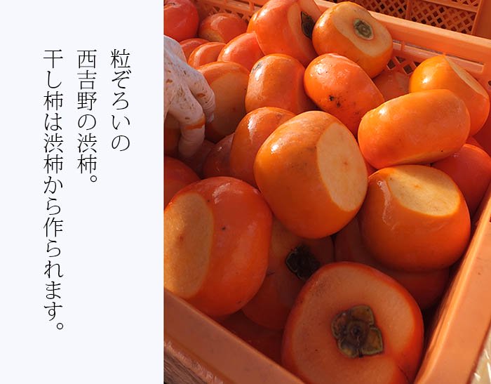 西吉野の干し柿