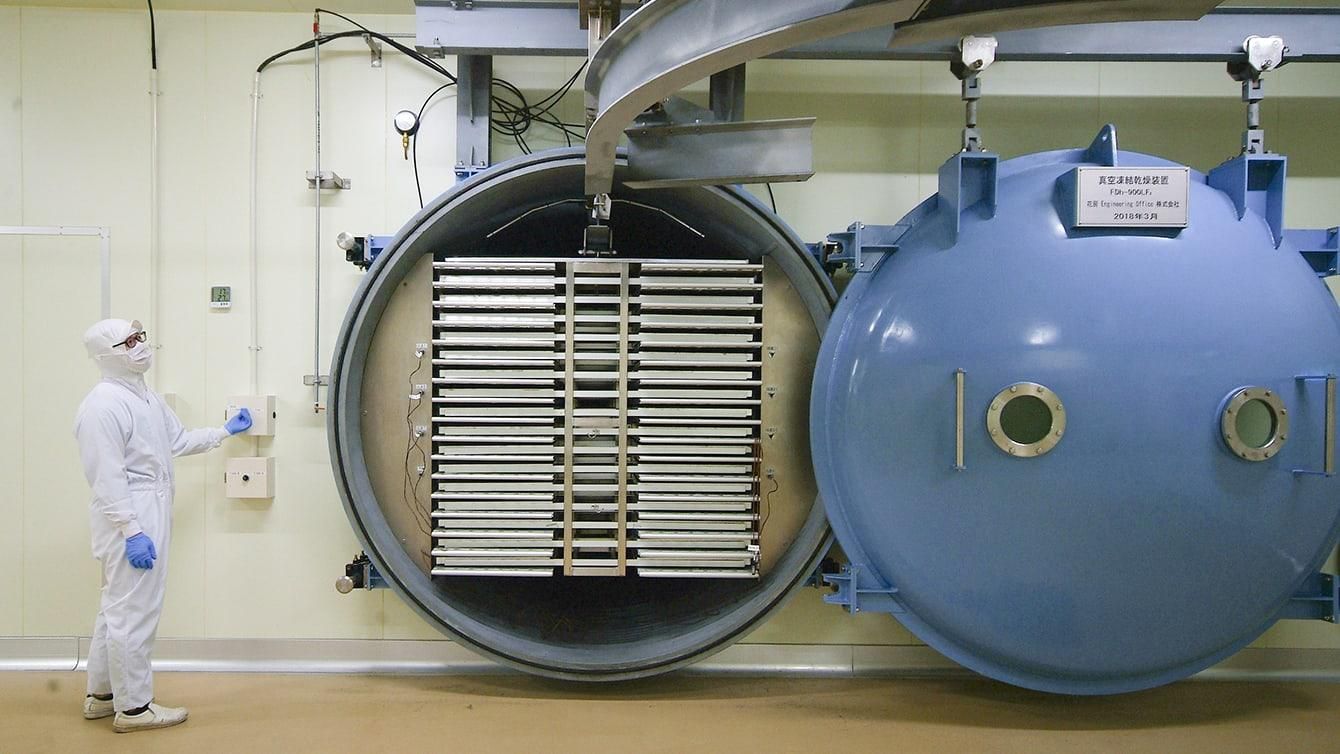 ե꡼ɥ饤顢ǺΤΤޤޤˡ