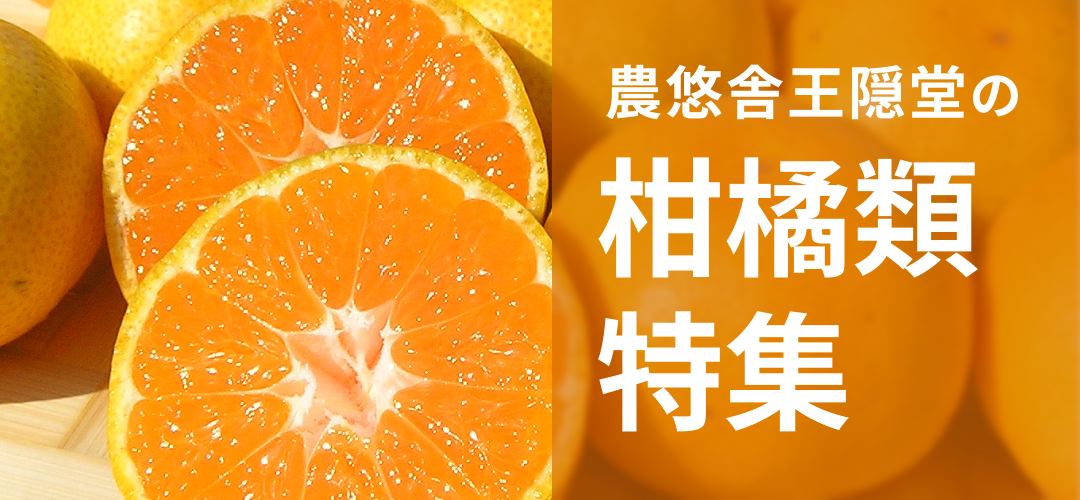 農遊舎王隠堂の柑橘類特集
