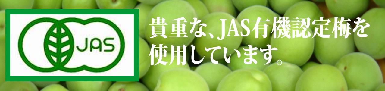 JASͭߥХʡ