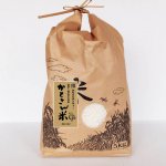 新米◆合鴨が大活躍◆農薬不使用 かもさん米 玄米 【5kg】 和歌山県産