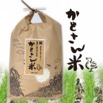 新米◆合鴨が大活躍◆農薬不使用 かもさん米 白米 【5kg】 和歌山県産