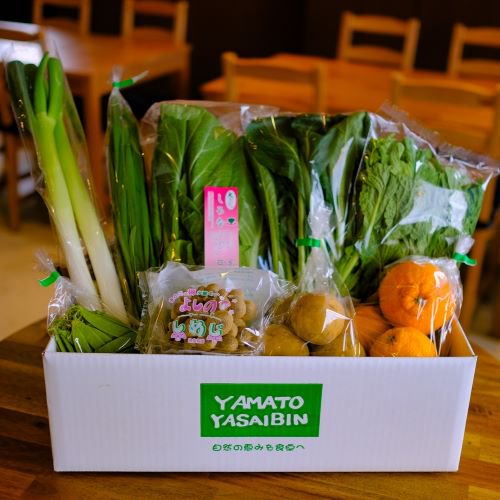 産地直送旬の野菜セット 旬の野菜をお届け 奈良農悠舎王隠堂 安心と