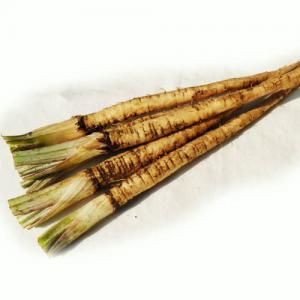 産地直送 さんぶの有機野菜セット 6品(送料無料)