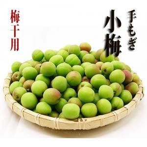 ͽաۢ1γǫ˼⤮ǼϢߴ  ⤮ 1kg3kg ɸ²λŸ520530вͽ