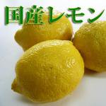 ◆キリッと、爽やかな酸味◆レモンれもん 【1kg】 和歌山・三重県産