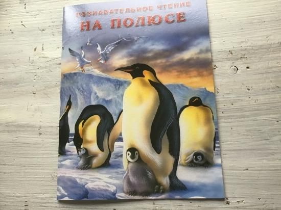 美 ロシア語の動物の絵本 ペンギン マトリョーシカ 白樺雑貨など ロシアの手仕事 やるまるか Yarmarka 美 ロシア語の動物の絵本 ペンギン マトリョーシカ 白樺雑貨など ロシアの手仕事 やるまるか Yarmarka