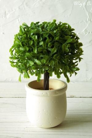 人工観葉植物 ミニpumpkintree 光触媒加工 フェイクグリーン インテリア雑貨 Wutty Co 人工観葉植物 ミニpumpkintree 光触媒加工 フェイクグリーン インテリア雑貨 Wutty Co