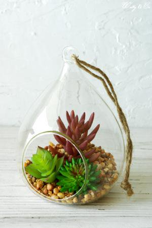 フェイクグリーン Terrarium Drop L ( テラリウム 壁掛け 多肉植物