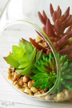 フェイクグリーン Terrarium Drop L テラリウム 壁掛け 多肉植物 吊り下げ 人工観葉植物 Wutty Co フェイクグリーン Terrarium Drop L テラリウム 壁掛け 多肉植物 吊り下げ 人工観葉植物 Wutty Co