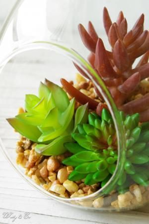 フェイクグリーン Terrarium Drop L テラリウム 壁掛け 多肉植物 吊り下げ 人工観葉植物 Wutty Co