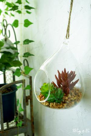 フェイクグリーン Terrarium Drop L ( テラリウム 壁掛け 多肉植物