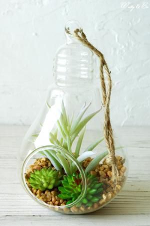フェイクグリーン Terrarium Lamp L テラリウム 壁掛け 多肉植物 吊り下げ 人工観葉植物 Wutty Co フェイクグリーン Terrarium Lamp L テラリウム 壁掛け 多肉植物 吊り下げ 人工観葉植物 Wutty Co