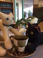 猫とコーヒーカップ