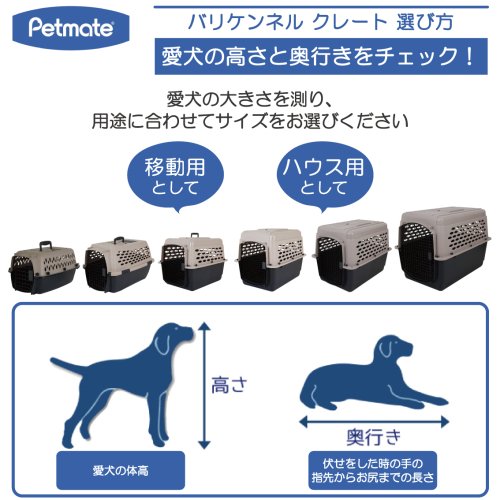 犬 バリケン コレクション ベルト