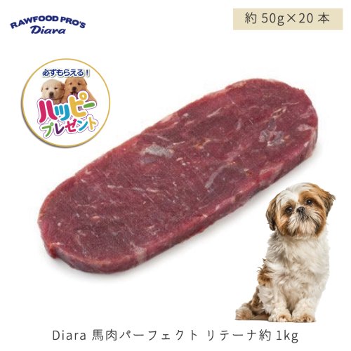 【国産】 Diara 馬肉パーフェクト スティック スティックタイプ 1kg (50g× 20本セット)