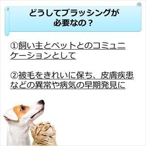 SHOW TECH フェザーライトProコーム 25cm