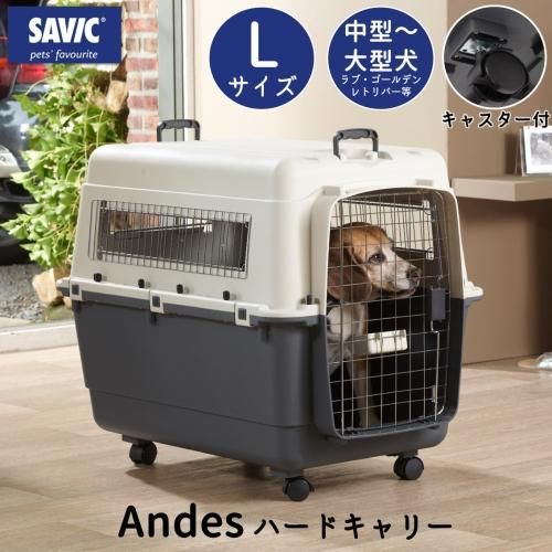 バリケンネル ペットシエスタ Com バリケンネル ペットシエスタ Com