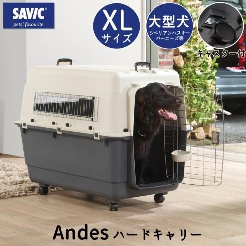 バリケンネル ペットシエスタ Com バリケンネル ペットシエスタ Com