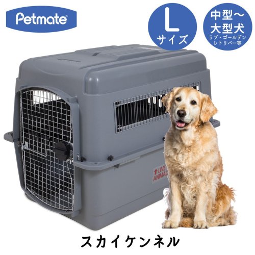 【手渡し限定】Petmate バリケンネル L 50-70 lbs中型犬〜大型犬用のサイズです