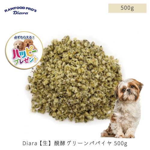 【国産】 Diara 発酵 グリーンパパイヤ (生タイプ) 500g