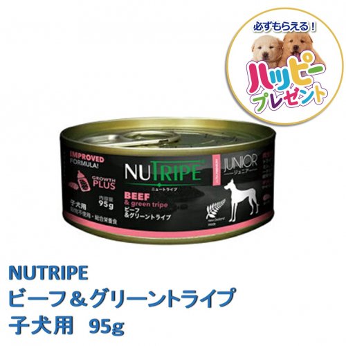 NUTRIPE缶 ビーフ&グリーントライプ 子犬用 95g