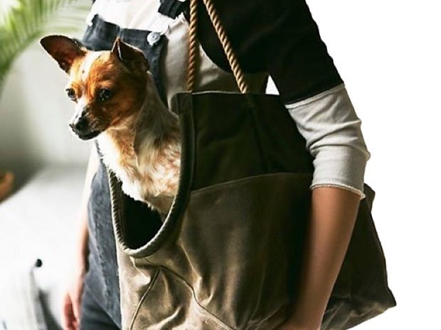 FOUND MY ANIMAL FOUND MY ANIMAL DOG CARRIER TOTE｜奈良市にある