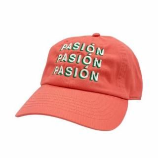 <img class='new_mark_img1' src='https://img.shop-pro.jp/img/new/icons5.gif' style='border:none;display:inline;margin:0px;padding:0px;width:auto;' />BUENA VISTA PASION cap