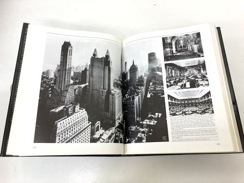 New York : Architecture and Urbanism Between the Two World