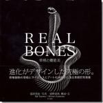 <img class='new_mark_img1' src='https://img.shop-pro.jp/img/new/icons11.gif' style='border:none;display:inline;margin:0px;padding:0px;width:auto;' />REAL BONES: ʤȵǽ