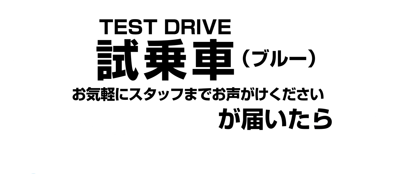 TEST DRIVE ֡ʥ֥롼ˤϤ