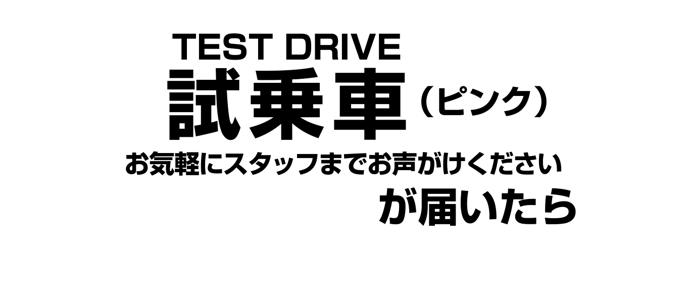 TEST DRIVE 試乗車（ピンク）が届いたら
