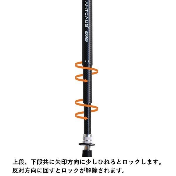ANTCAUS Carbon Trekking Pole - Rimba