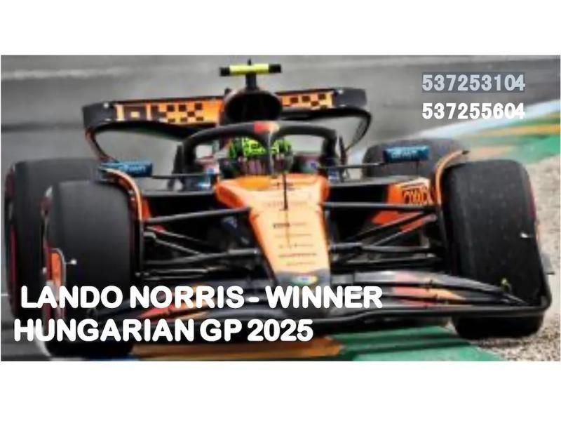 角田 裕毅 - ミニカー ショップ ロビンソン！ミニカー通販 専門店