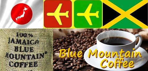 ジャマイカから直送　新鮮　ブルーマウンテンコーヒー　格安購入　個人輸入代行サービス